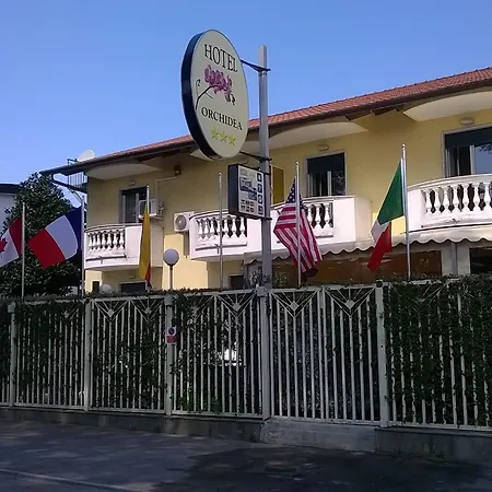 Orchidea ג'וליאנו אין קאמפאניה