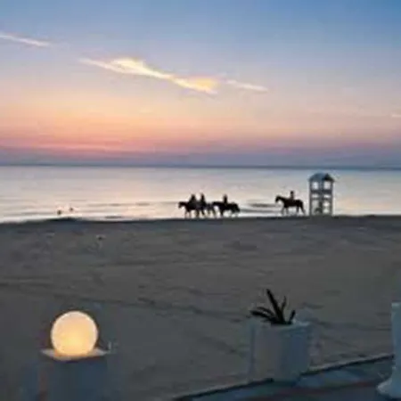 Orchidea ג'וליאנו אין קאמפאניה