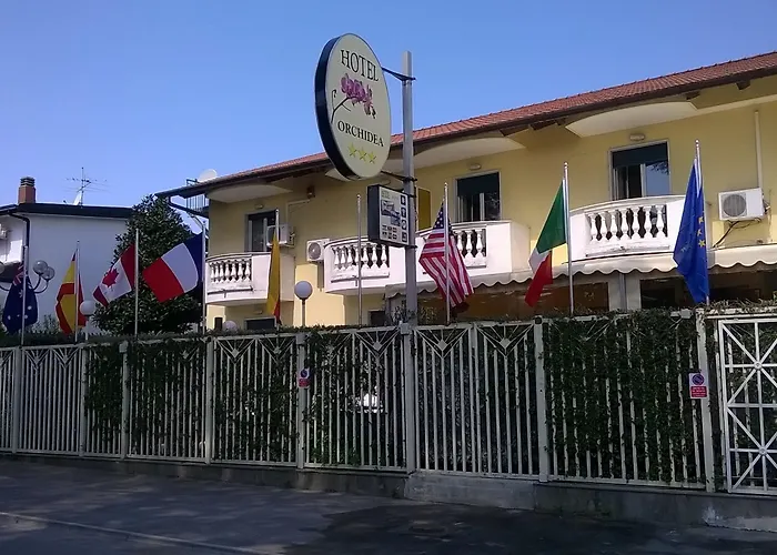 Orchidea Giugliano In Campania