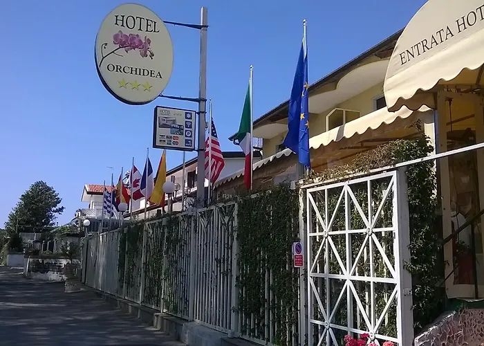 Orchidea Giugliano In Campania